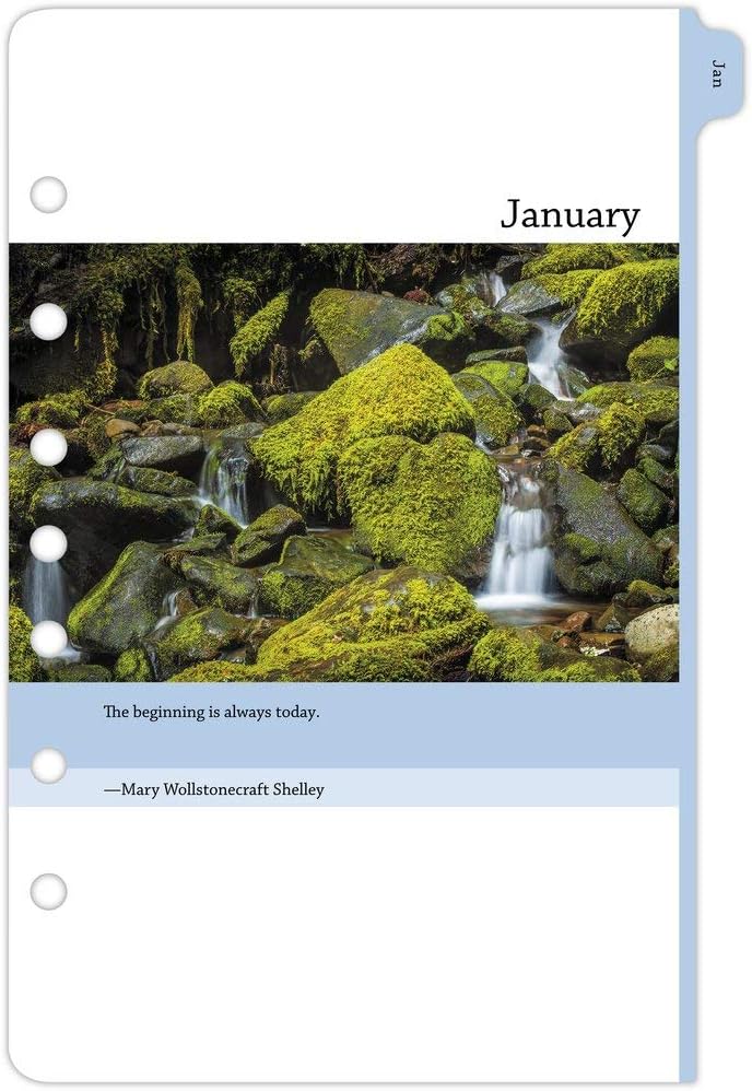 Day-Timer 2020 Monthly Planner Refill, 5-1/2" x 8-1/2”, Desk Size 4, Two Pages Per Month, Loose Leaf, Serenity (13696)