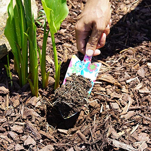 Set de herramientas de jardinería con diseño floral, 3 piezas miniatura 6