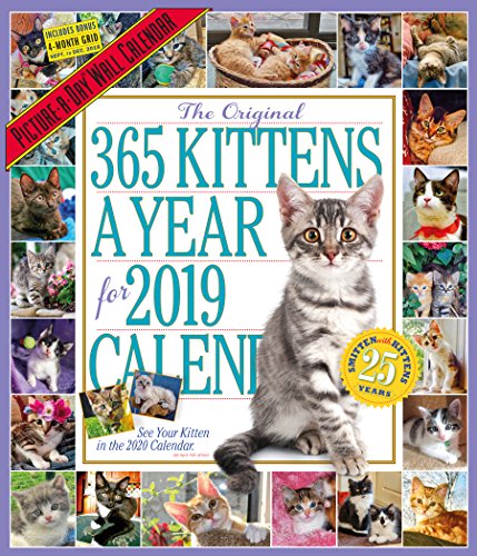 Télécharger The Original 365 Kittens a Year 2019 Calendar: Picture-a-Day livre En ligne