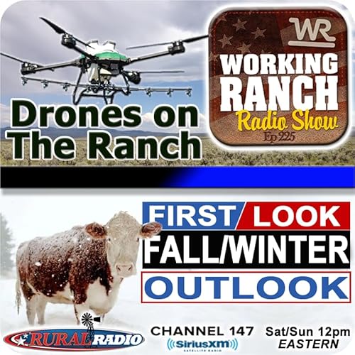 Ep 225: Drone Solutions for Ranchers + Don Day’s Winter Outlook cover art