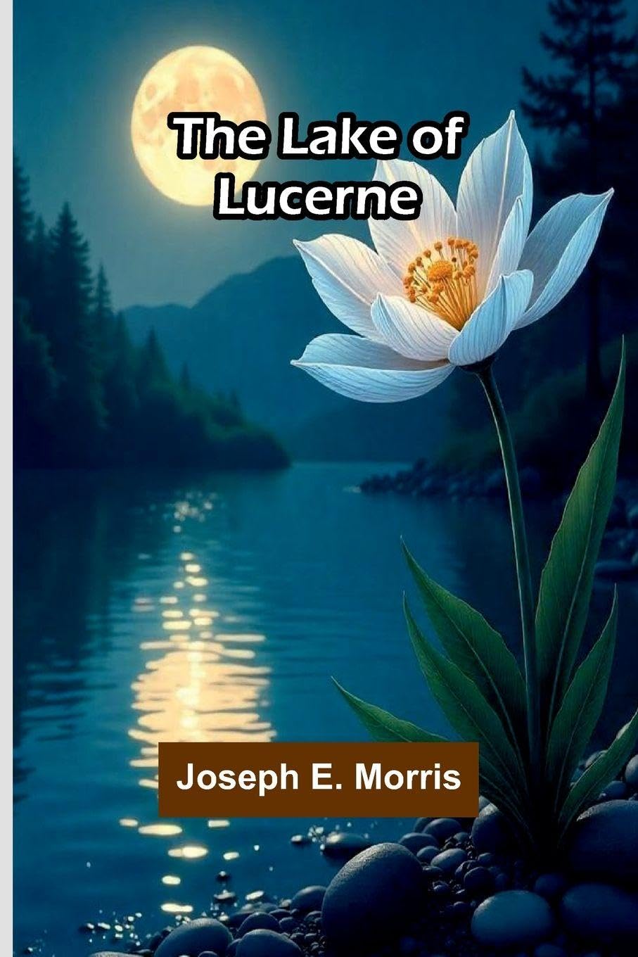 The Mystery of Evelin Delorme A Hypnotic Story (Edition1)