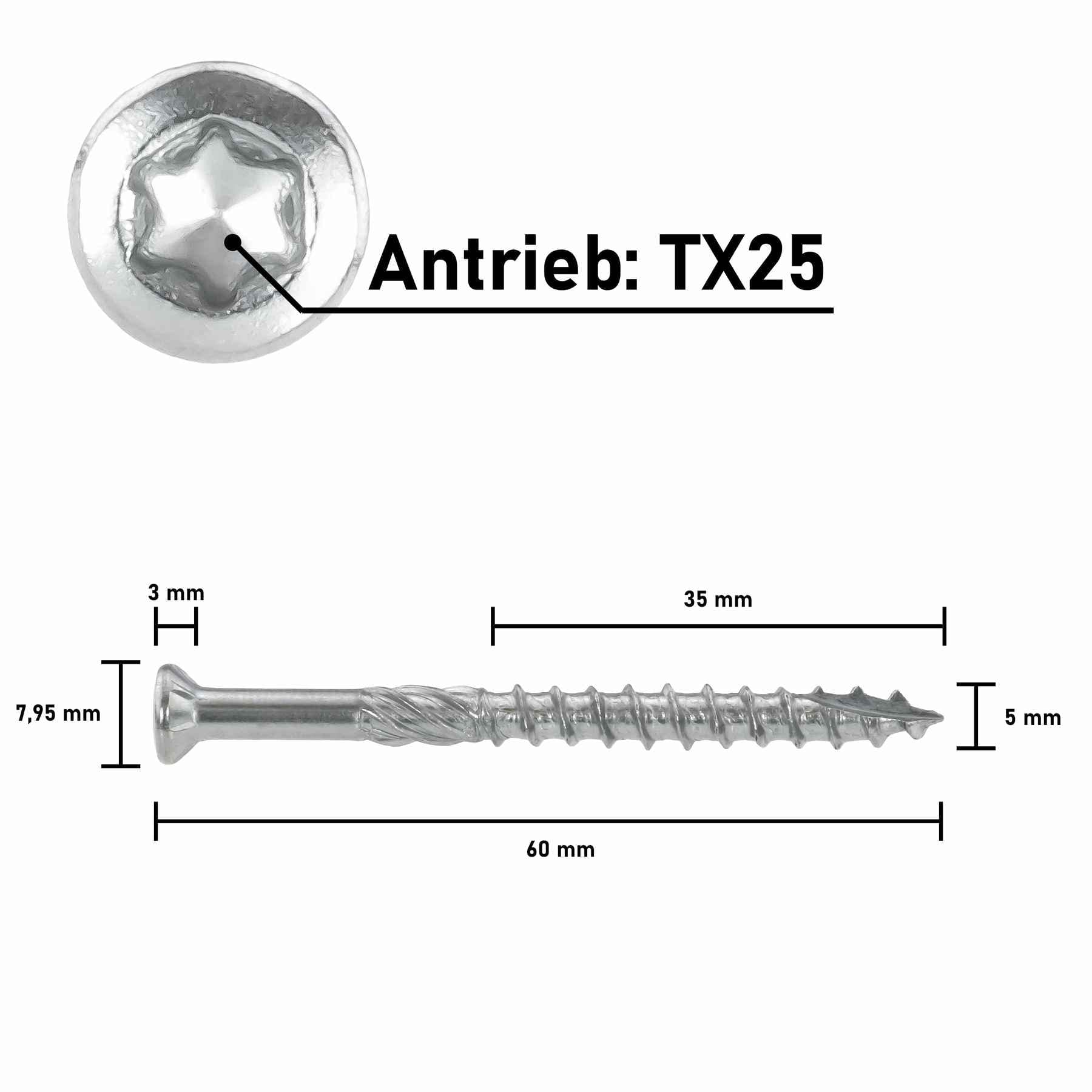 T-INOX - Tornillos para terraza (5 x 60 mm, 50 unidades, acero inoxidable endurecido, C1, Torx 25, incluye punta de acero inoxidable)