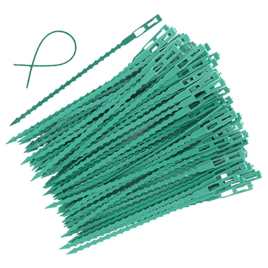 Plant Ties, Pack of 100 Reusable Adjustable Nylon Garden Cable Ties, 13-34 cm, for Plant Support(17CM)