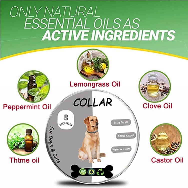 PetVogue Flea and Tick Collar for Dogs, Flea and Tick Prevention for Dog, 25 Inch, 8 Month Protection, 1 Pack 1
