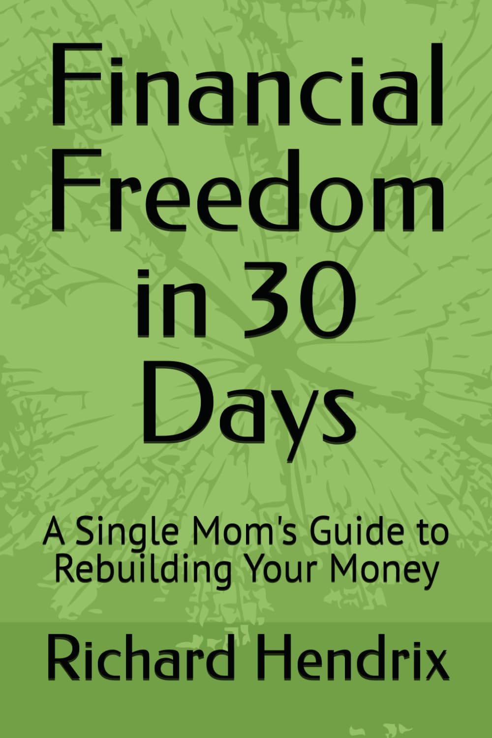 Financial Freedom in 30 Days: A Single Mom's Guide to Rebuilding Your Money