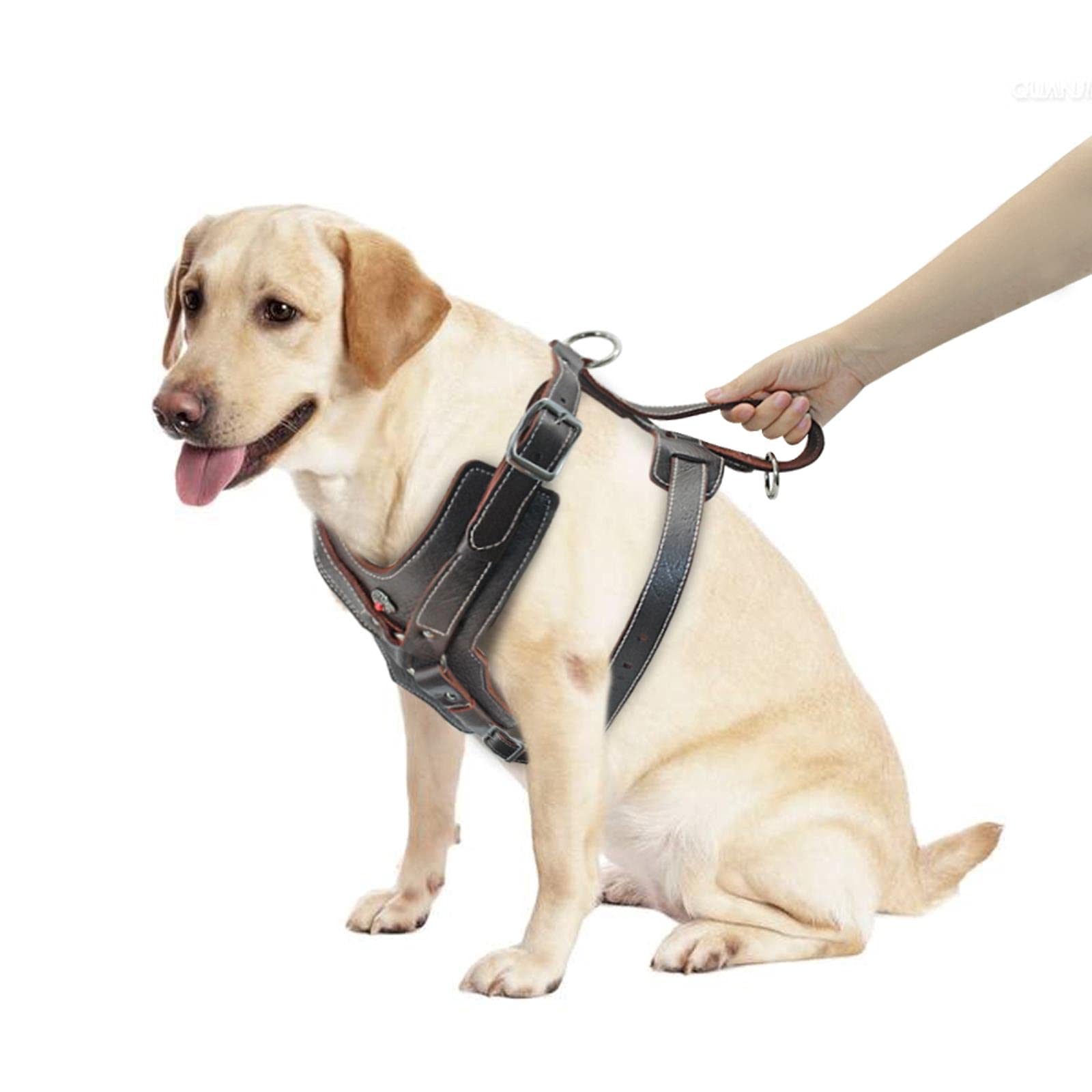 Arnés de Cuero Duradero para Perros para Perros Grandes Chaleco de Entrenamiento para Mascotas con Mango de Control rápido-2XL