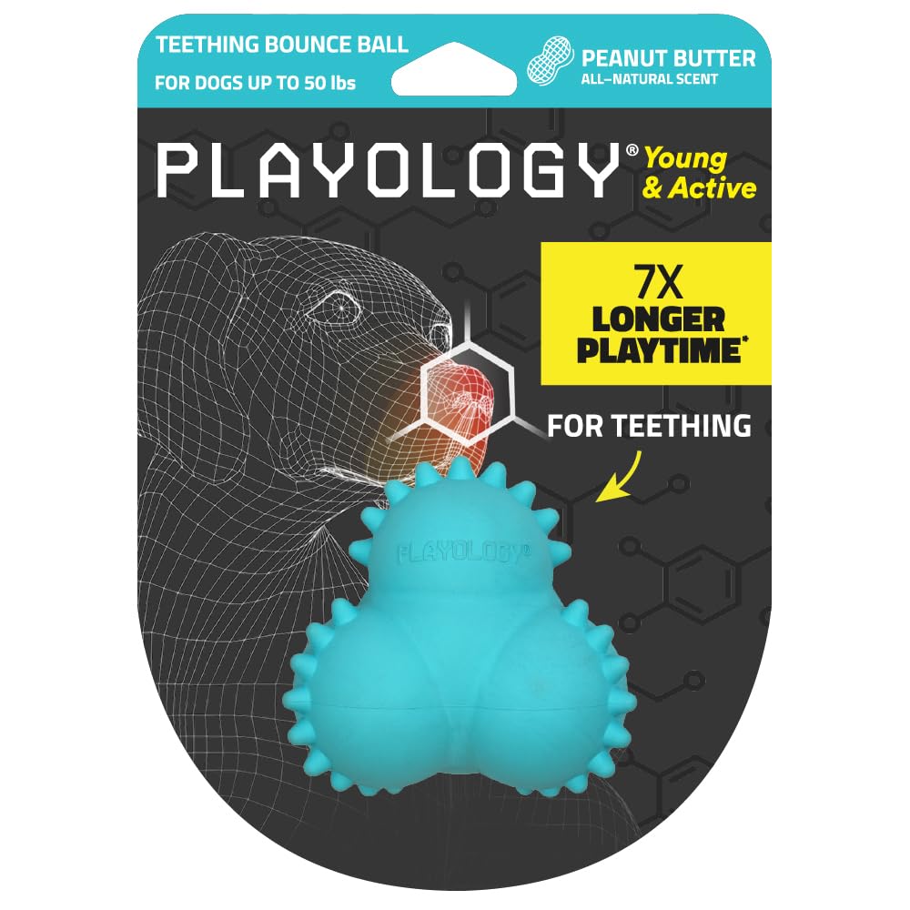 Playology Hundespielzeug, Beißball für Welpen und junge Hunde, Erdnussbutterduft, mittelgroß, Kauspielzeug für zahnende Welpen
