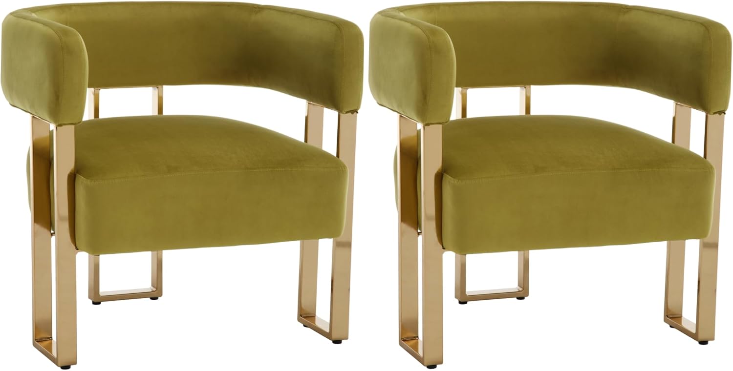 chairus Accent Chairs Set of 2, Living Room Chairs with