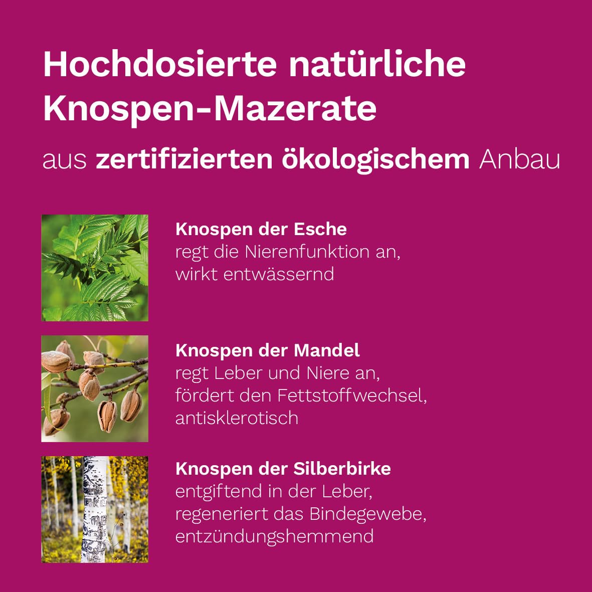 Dr. Koll Stoffwechsel Plus - Nahrungsergänzungsmittel mit Cholin, Glycerolkomplettextrakten und Vitaminen, 50 ml