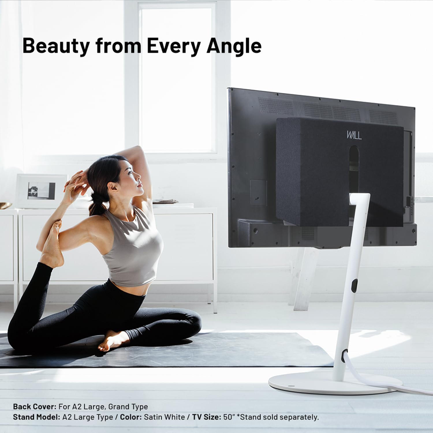 Amazon.com: WALL A2 Large/Grand Type Back Cover, Accessory to