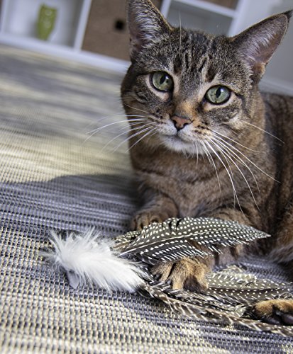 Petlinks 49218 Happynip Zippy Zebra Feather Cat Toy thumb #6