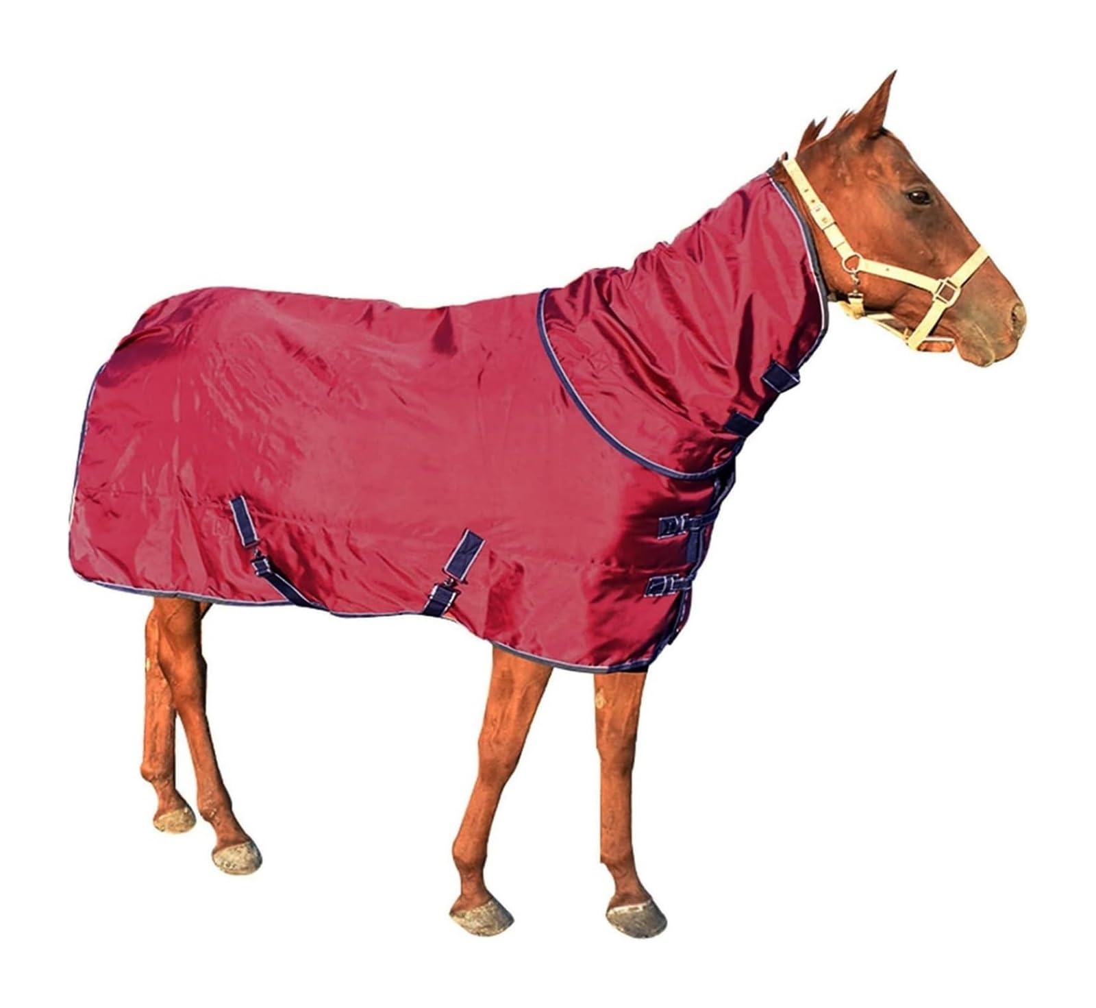 Manta de invierno ligera y transpirable Manta de caballo impermeable de invierno roja, funda de cuello extraíble que envuelve la manta for mantener la ropa de caballo abrigada(135cm/53in)