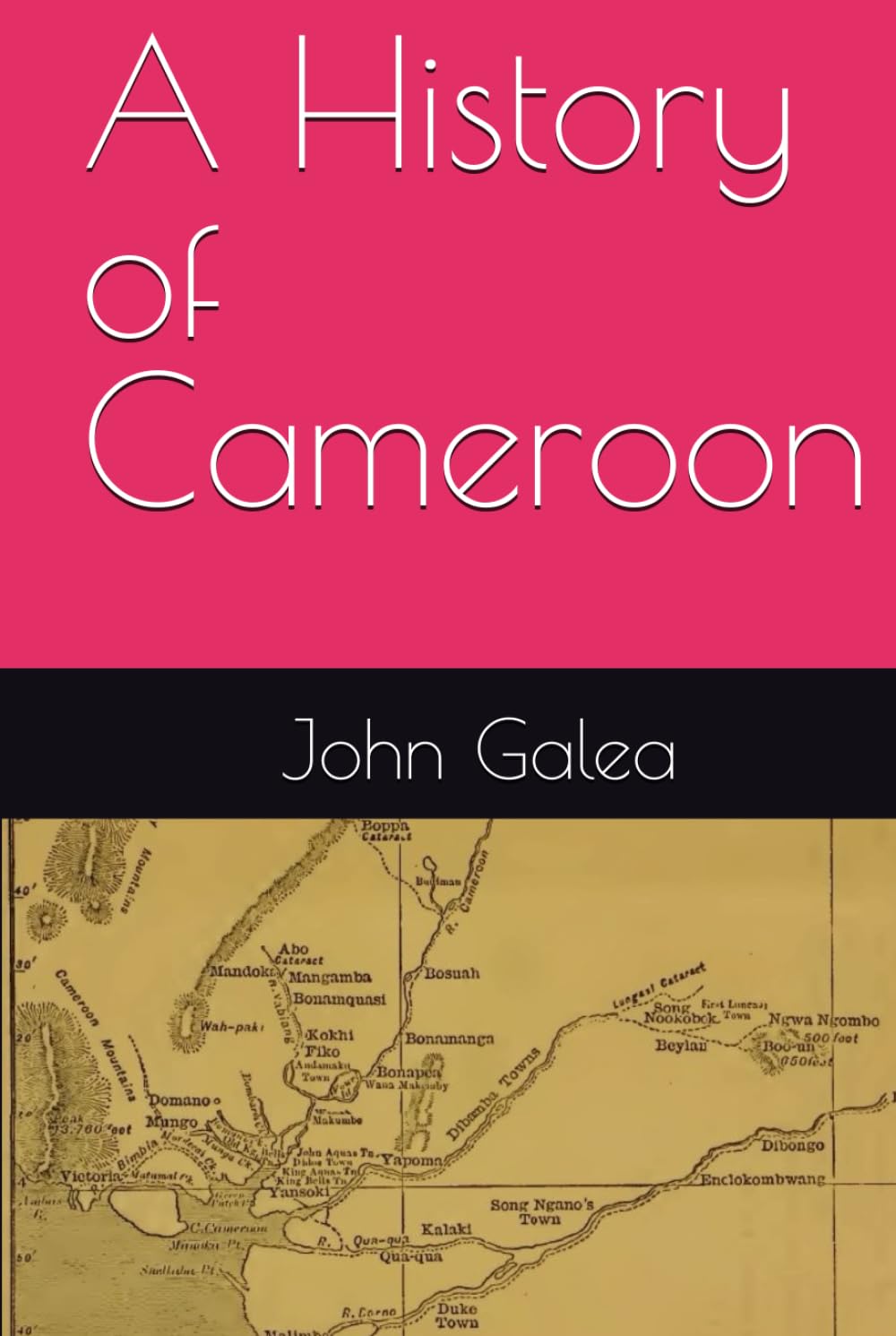 A History of Cameroon