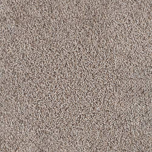 10'X12' - Speckled Earth Economical Solutions Collection | Custom Carpet Area Rugs & Runners - 25 Oz. Soft Textured 100% Purecolor Bcf Polyester. Fha Approved-Cri Green Label-Made In U.s.a. #TOP2