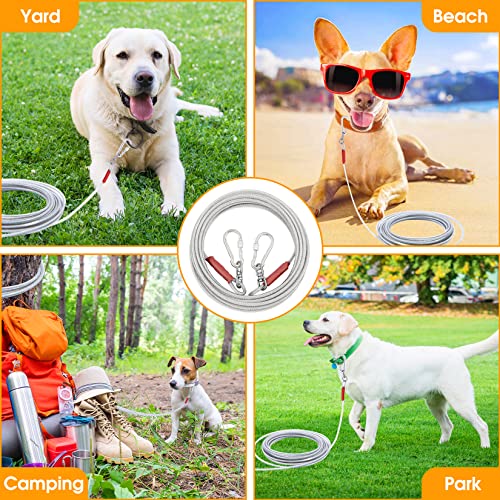 Dog Tie Out Cable for Dogs Outside Up to 250lbs,10/20/30/50/100FT Long Dog Leash&Chains,Small-Large Dogs Runner Cable for Yard,Heavy Duty Dog Lead Line for Outdoor,Camping,Yard (250lbs 100FT, Silver)