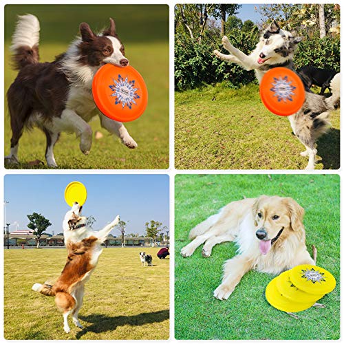 Frisby de estimação,Funien