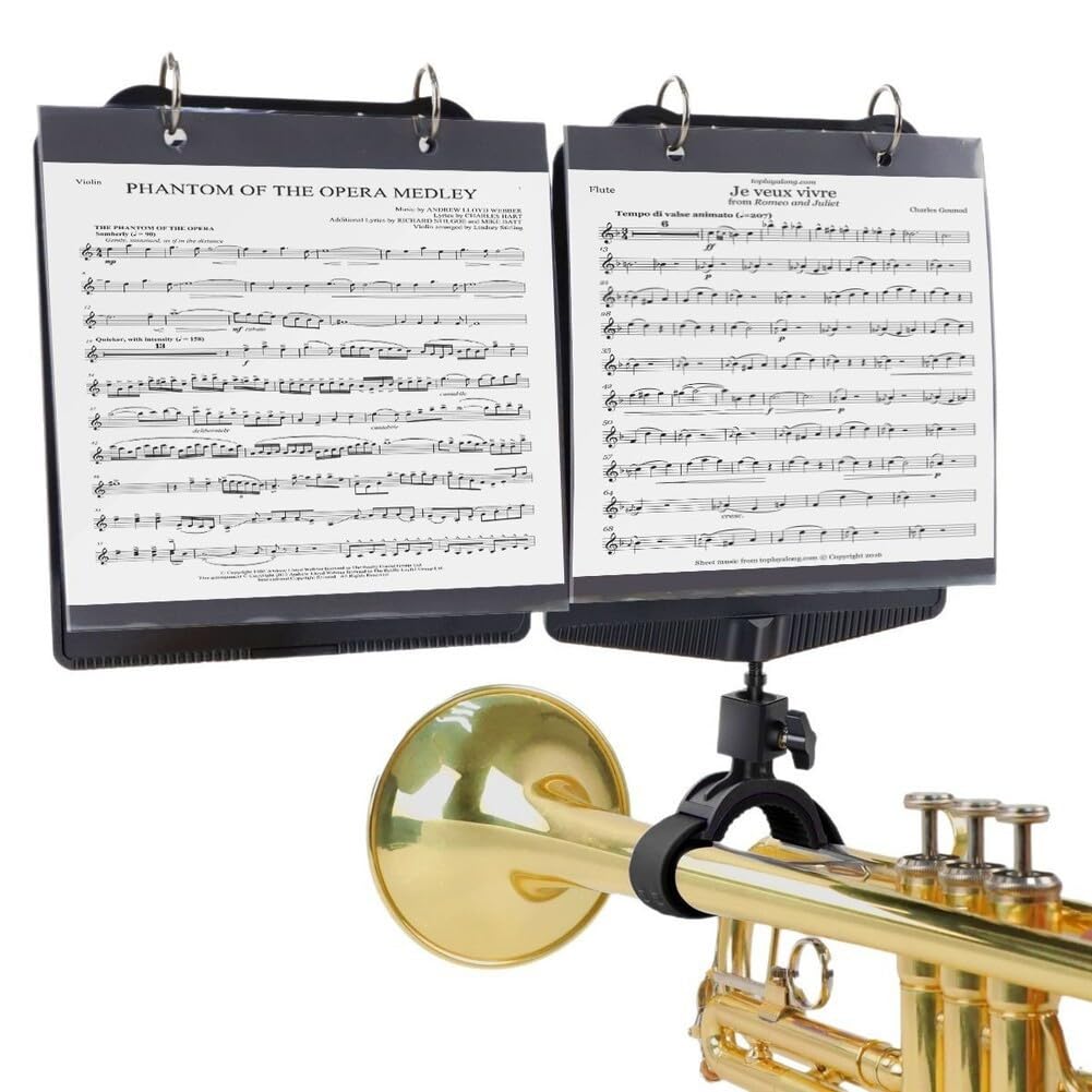Support de musique de fanfare avec fonctions réglables Lyres en métal pour clarinettes, hautbois et trompettes, facile à utiliser (noir)