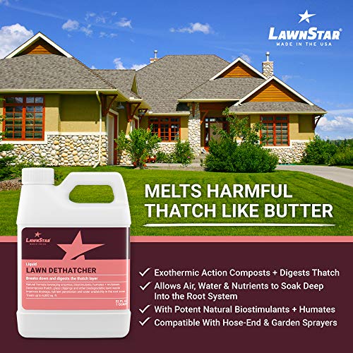 Liquid Lawn Dethatcher (32oz) - Convenient Alternative to Corded, Electric, Rake & Tow Dethatchers - Digests Thatch Layer Naturally, Contains Humic Fulvic Seaweed & Molasses, Pairs with Aerator