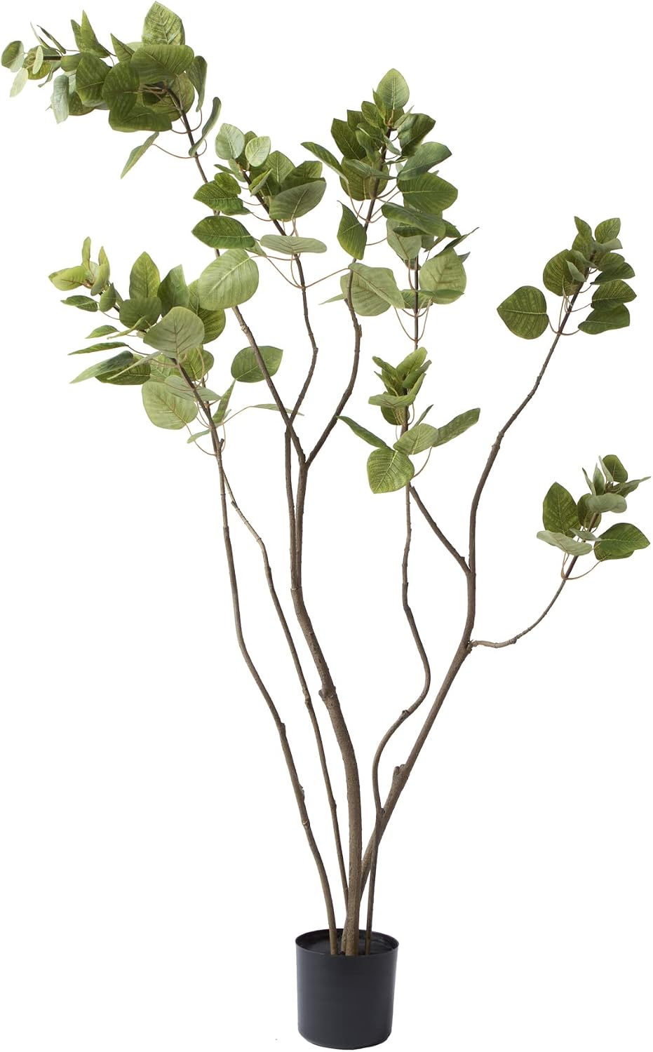Vickerman Everyday 48" Artificial Green Potted Cotinus Coggygria Tree with 177 Leaves - Lifelike Home Or Office Accent Decor - Premium Faux Potted Tree - Maintenance Free
