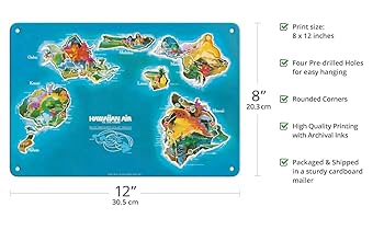 Hawaiian Air アートマップ ビンテージポスター Fine Art Prints & Posters - Hawaii Islands Route Map