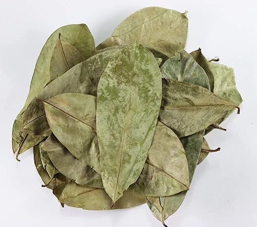 NY Spice Shop Hoja de guanábana  8 onzas de hojas secas de graviola agria  Hojas de graviola de guanábana para té  Hojas frescas de guanábana  Hojas