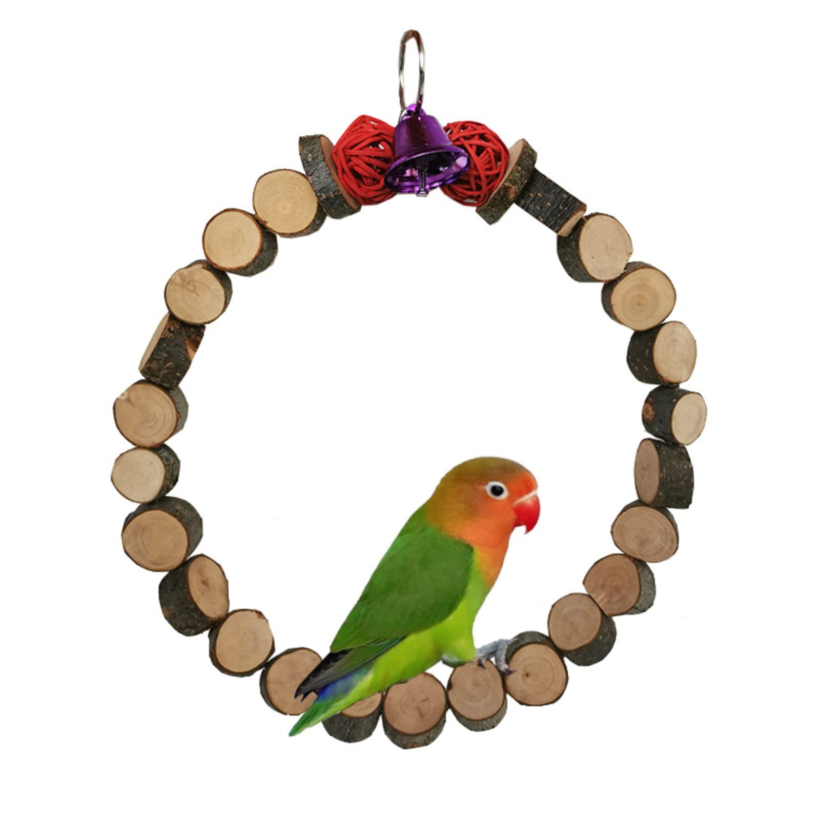 10 Best Hanging Parrotlet Bird Cages Hummingbirds Plus