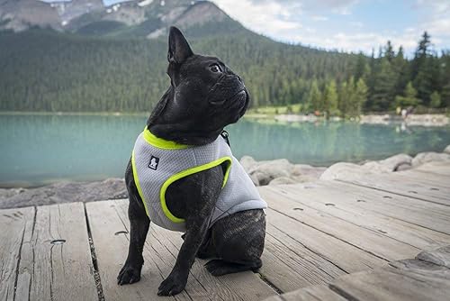 Miniatura 7 de Truelove - Chaleco de refrigeración para perro, chaqueta enfriadora con cremallera ajustable para entrenamiento de caza al aire libre y campamento