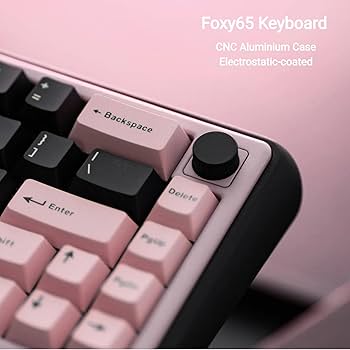 i♡ Amazon.com: OOCTPK Chilkey Foxy65 Mechanical Keyboard with