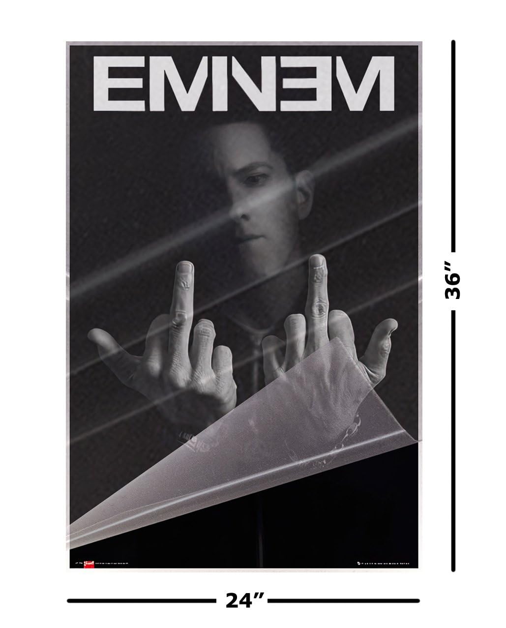 Amazon.com: Eminem - Music Personality Poster (Fingers - Flipping