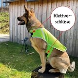 Bestlivings Reflektierende Hundewarnweste - Robust, Größenverstellbar, Reflektorweste mit Futterstoff, Sicherheitsweste für Hunde, Jacke Mantel in Grün, Größe L, Polyester