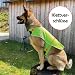 Bestlivings Reflektierende Hundewarnweste - Robust, Größenverstellbar, Reflektorweste mit Futterstoff, Sicherheitsweste für Hunde, Jacke Mantel in Grün, Größe L, Polyester