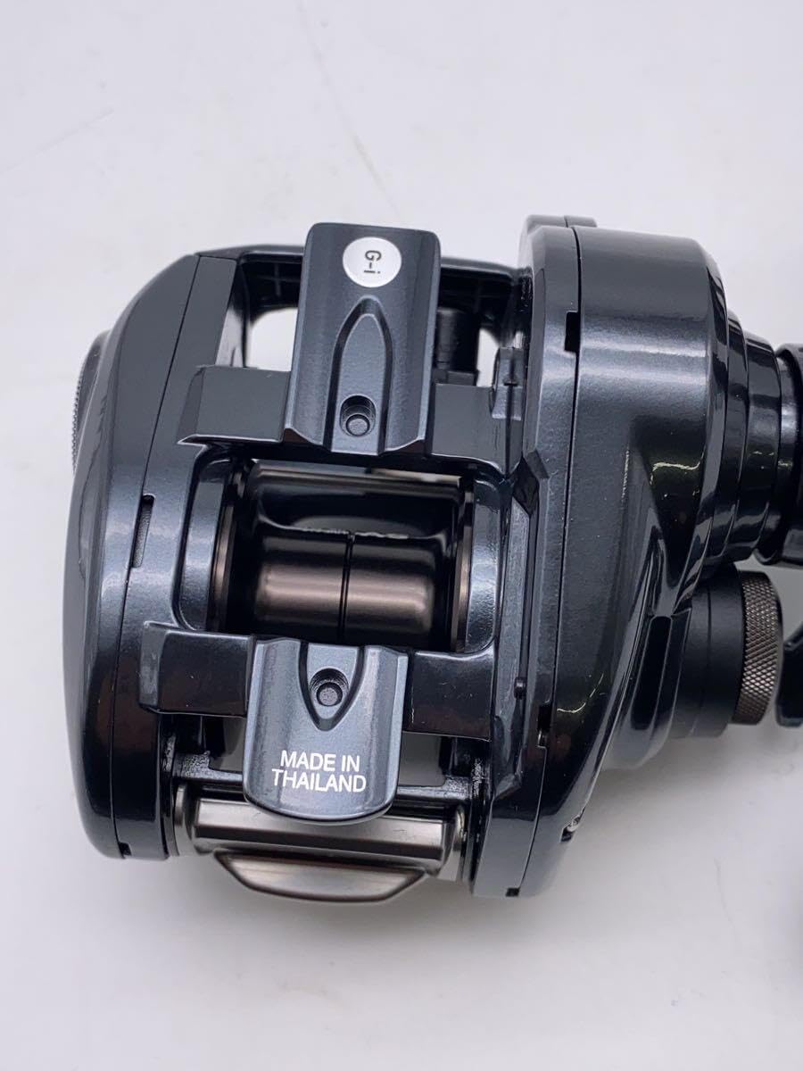 Daiwa 20( ダイワ TATULA タトゥーラ SV TW 8.1L ベイトリール