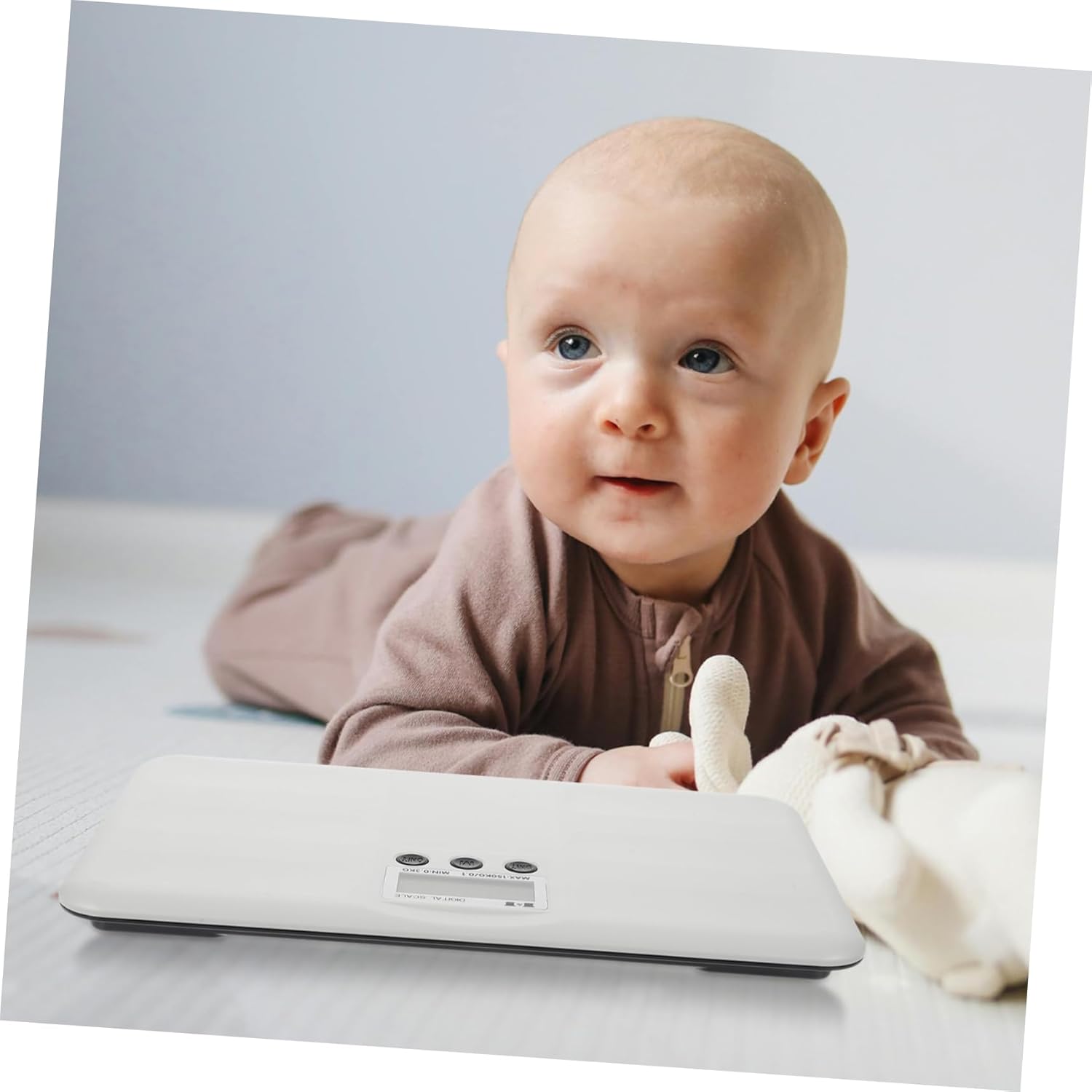 BESPORTBLE Electronic Scale Multi Scale with Display Precision Weight Measurement for Pets Classic Design No Battery Required