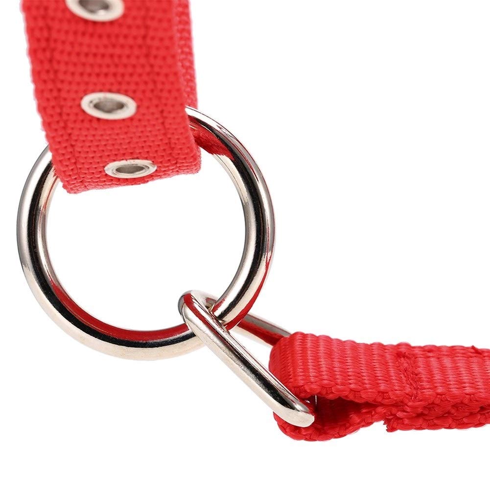 JINGBA S/M/L de 6 mm Collar Espesado de la Cabeza de Caballo Cuerda Ajustable Halter Brida de Seguridad ronzal Hípica Racing Equipo de Entrenamiento (Color : Red L)