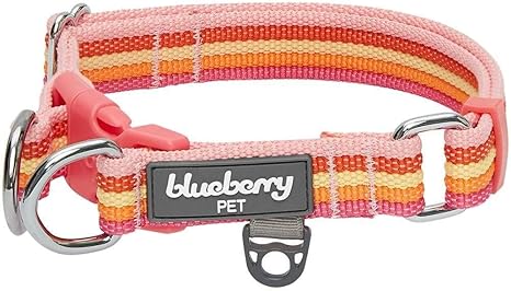 blueberry pet collars amazon