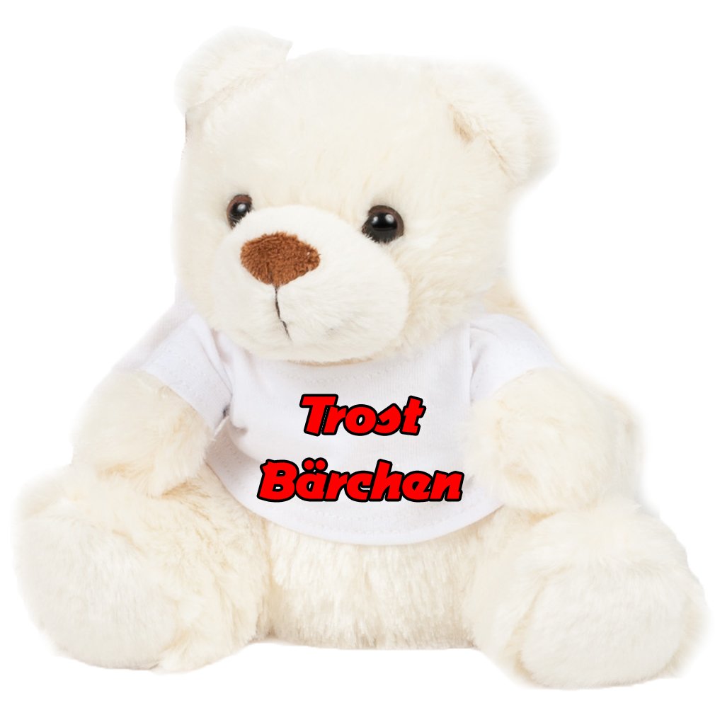 SHIRT-TO-GO BOLTZE Teddy Cuddly Toy Comforting Bear or Love Valentine's Day Present Idea