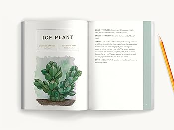 趣味・スポーツ・実用 Succulents The Illustrated Dictionary 趣味・スポーツ・実用 Succulents The Illustrated Dictionary
