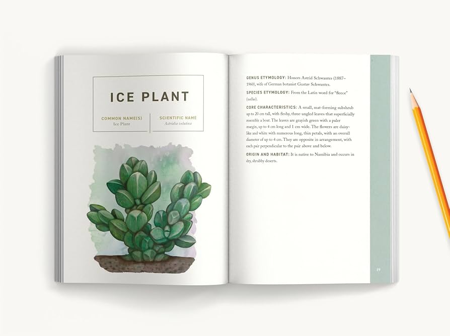 趣味・スポーツ・実用 Succulents The Illustrated Dictionary
