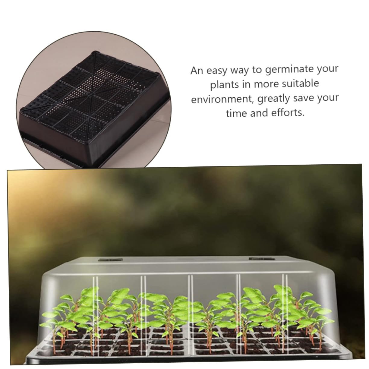 BESPORTBLE Plateau de Semis en Plastique avec Dôme, 1 Set pour Germination