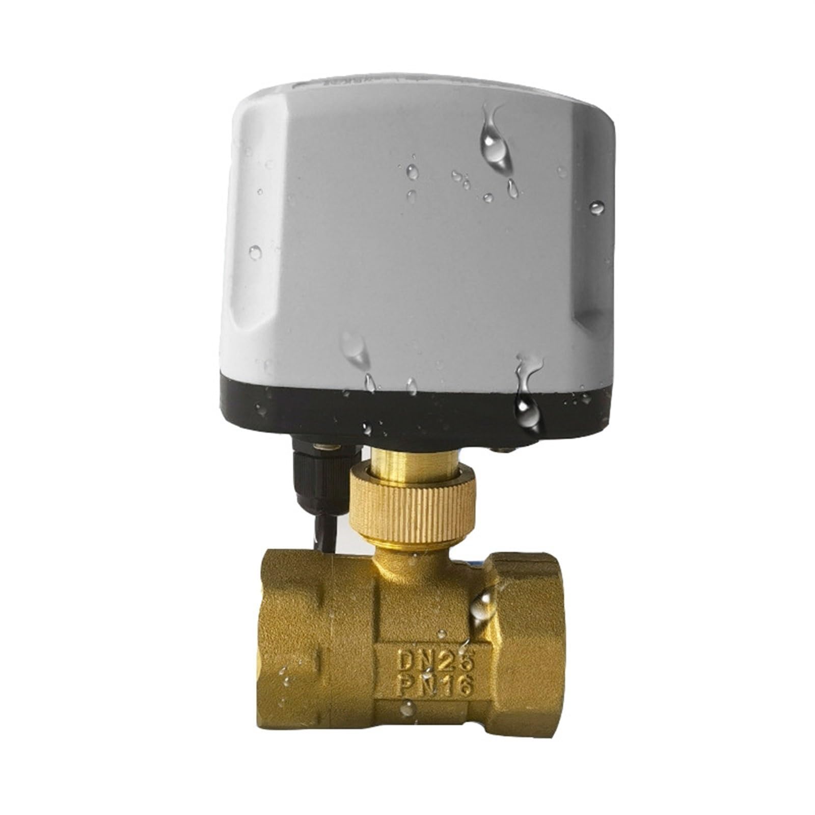1/2 "3/4" 1 "2" IP65 Valvola a Sfera motorizzata Impermeabile 3 Fili 2 Controllo a elettrica in Ottone Motore in Metallo con Coppia Grande(AC220V-CR02,2T DN40)