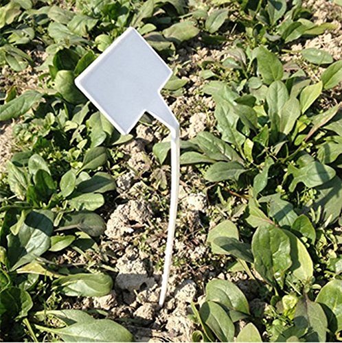 KINGLAKE 50 Pcs White Waterproof Plastic Seed Nursery Garden Labels Curved T-Type Plant Tags