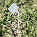 KINGLAKE 50 Pcs White Waterproof Plastic Seed Nursery Garden Labels Curved T-Type Plant Tags