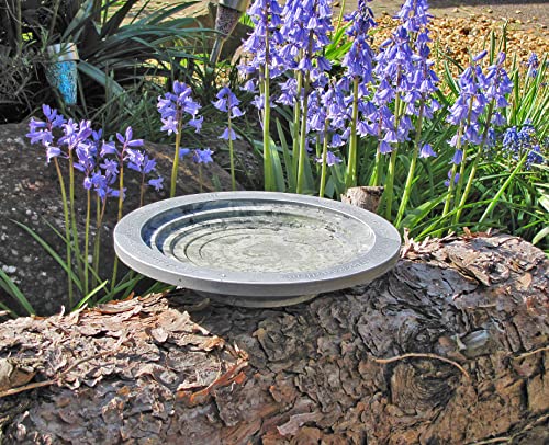 Wildlife World Aristotle Oasis Small Bird Bath & Drinker, Grey - Image 2