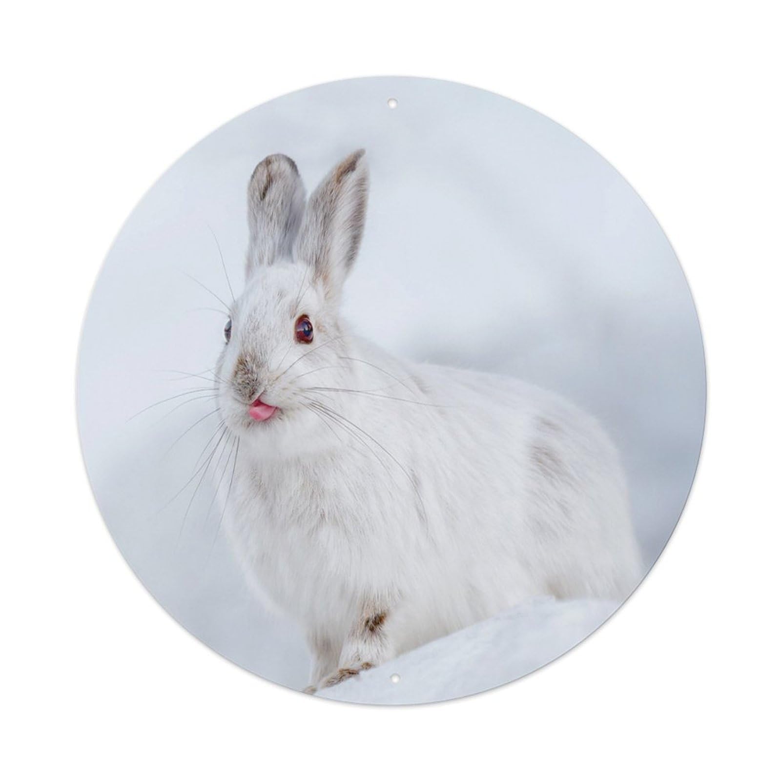 Cute White Booted Rabbit Animal Metal Tin Sign
