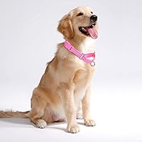 Vista 13 de Martingale Dog Collars - Reflective Dog Collar with Quick Release Buckle Adjustable Nylon Training Dog Collar for Puppy Small Medium Large Dogs