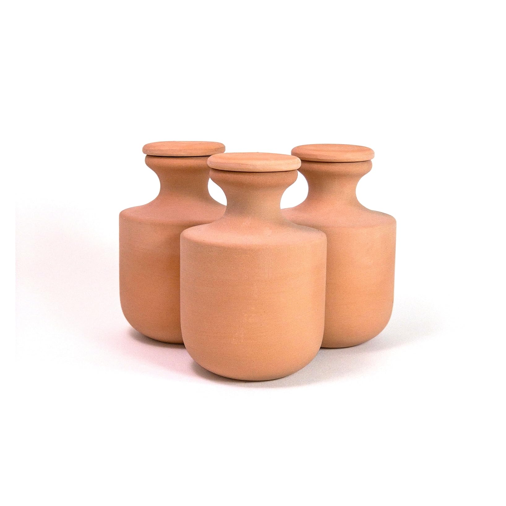 3 Oyas à Enterrer 500 ML en Terre Cuite Naturelle avec Couvercle – Arrosage Automatique Écologique pour Plantes d’Intérieur et d’Extérieur – Autonomie Jusqu’à 1 à 2 Semaines