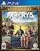Far Cry 5 Steel book - PlayStation 4 Gold Edition