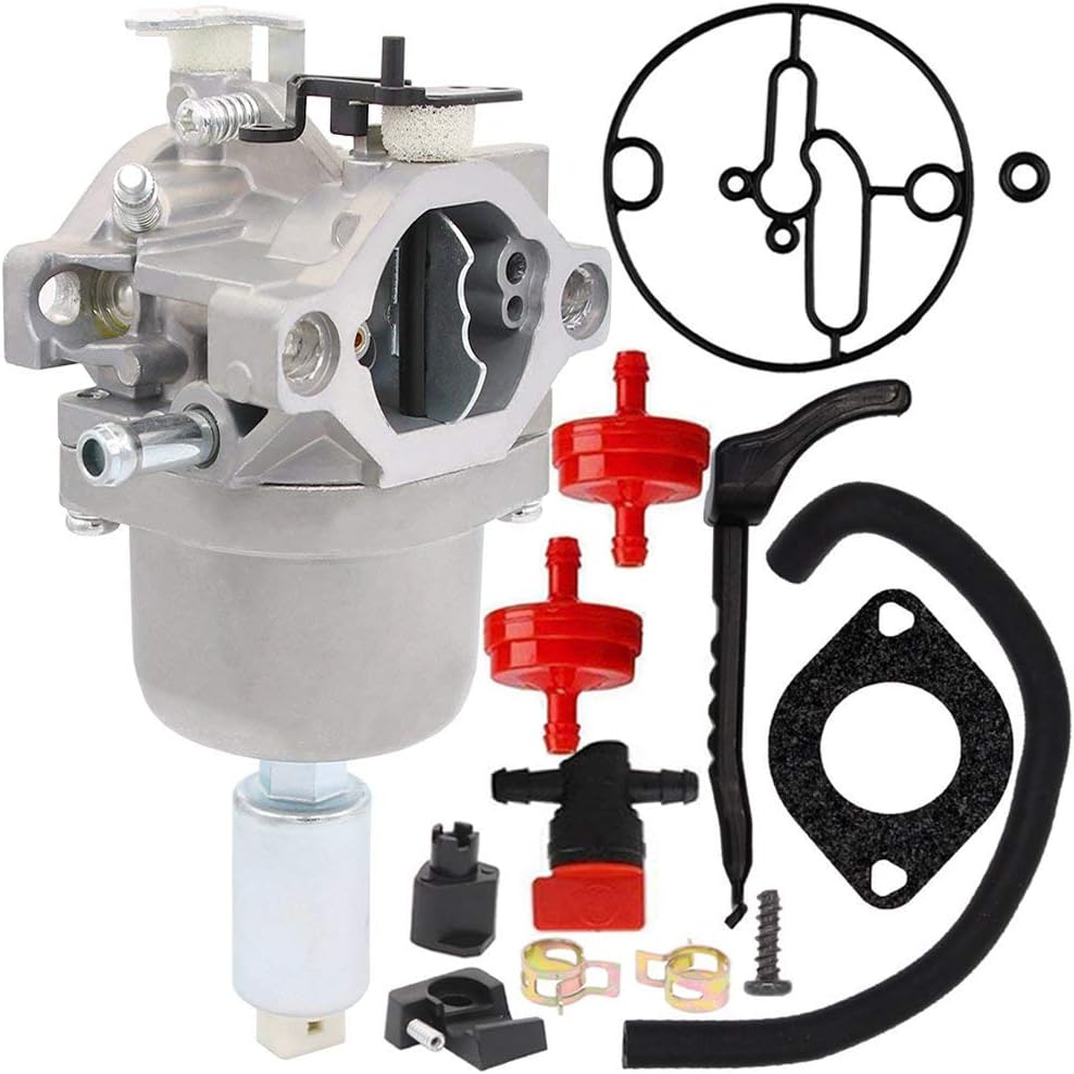 HOOAI 594593 Carburetor for Briggs & Stratton 591731 593514 697141 697190 698445 699109 699937 791858 791888 792171 792358 793224 790418 796109 794294 699916 593433 794572 590400