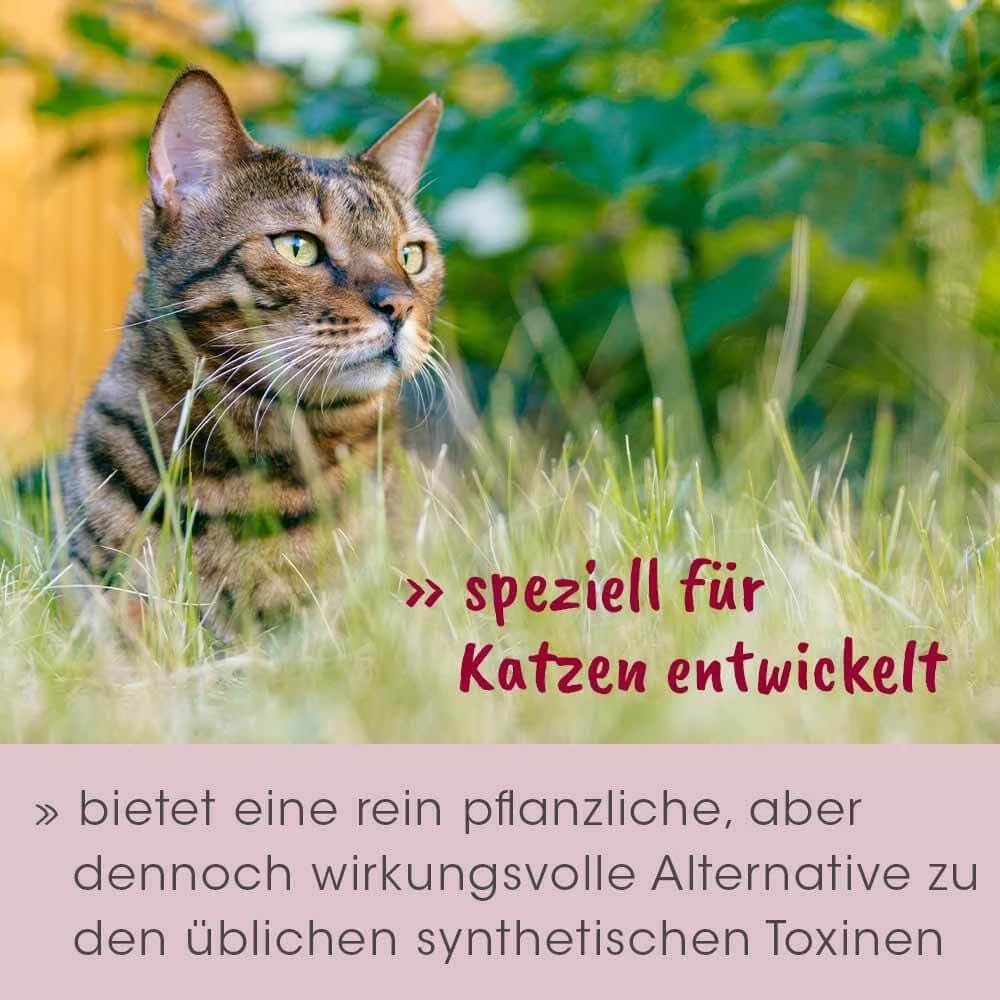 feliTATZ AbwehrKonzentrat 10 ml | Natürlicher Zeckenschutz für Katzen