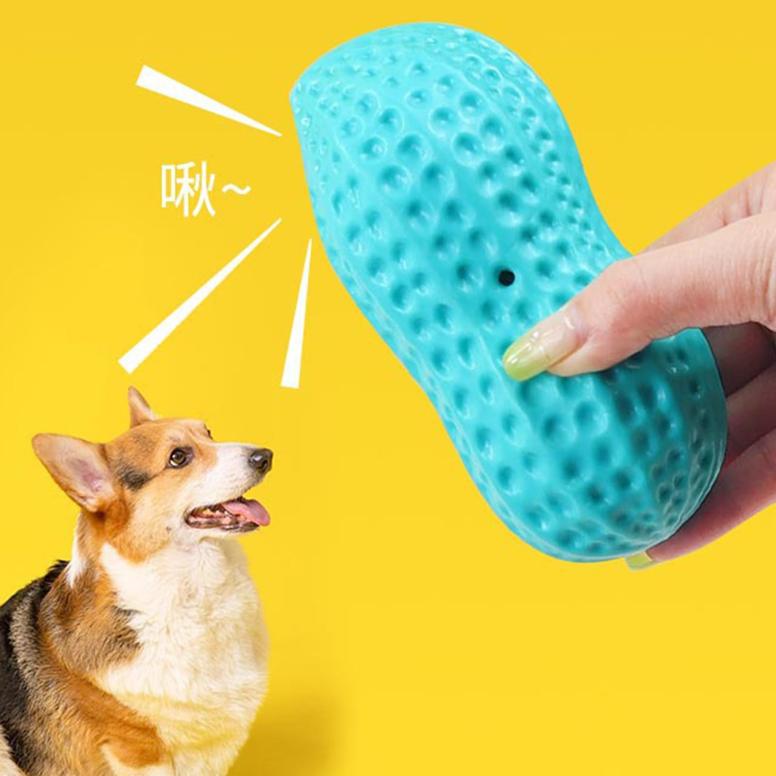 Amazon | 犬用 噛むおもちゃ 歯磨きボール 噛むボール 二枚入り ラバー